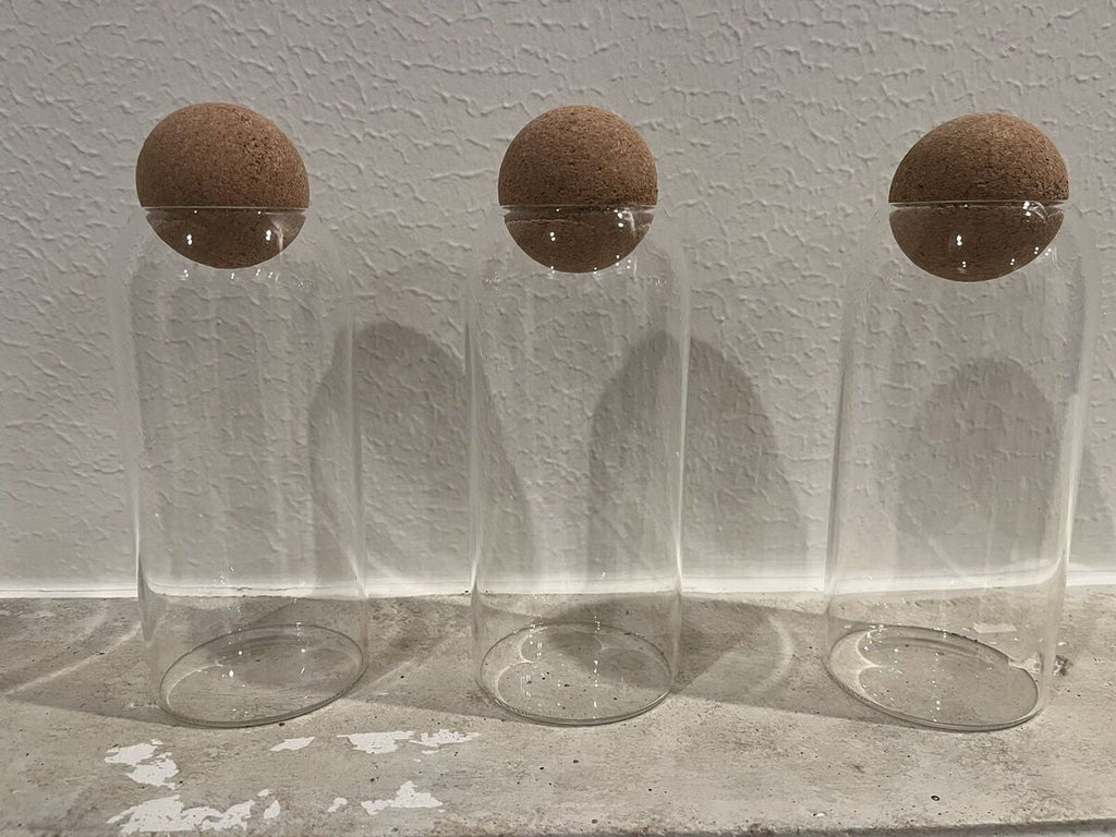 Glass Food Storage Jars with Ball Cork Lid, Bamboo Glass Containers